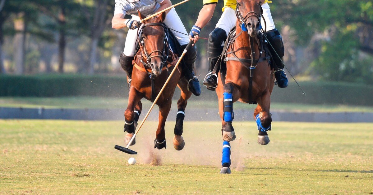 Polo Schockemöhle: 1st team in the Women